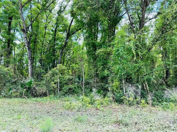 0 NE 400th Ave #10, Old Town, FL 32680