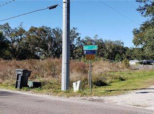 12946 Gore Rd, Dover, FL 33527