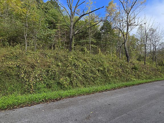 3rd image of Lower Wallens Creek Rd