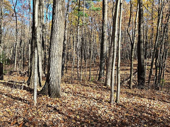 3rd image of Lot 1 Goss Road