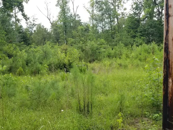 4942 Jacksonboro Rd, Round O, SC 29474