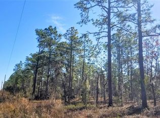 NW Amberjack Ave LOT 7, Dunnellon, FL 34431