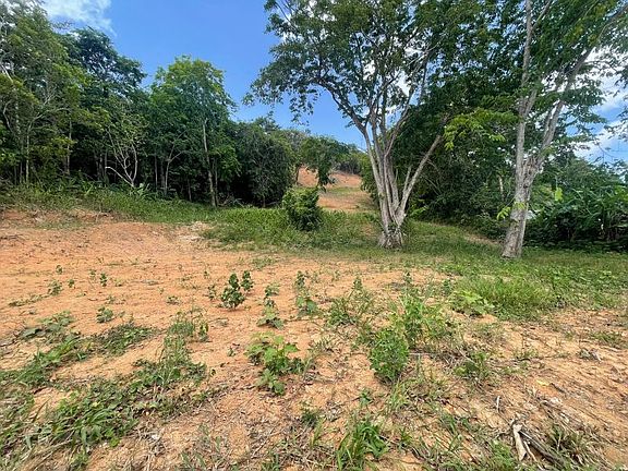 2nd image of Parcela 17b Bo Quebrada Cruz