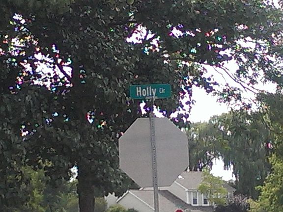 5th image of 992 Holly Cir