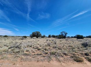 721 S Wyandotte Rd #243, Williams, AZ 86046