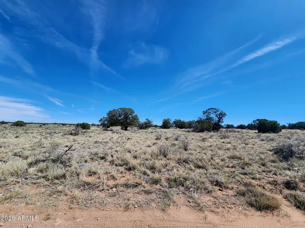 721 S WYANDOTTE Road #243, Williams, AZ 86046