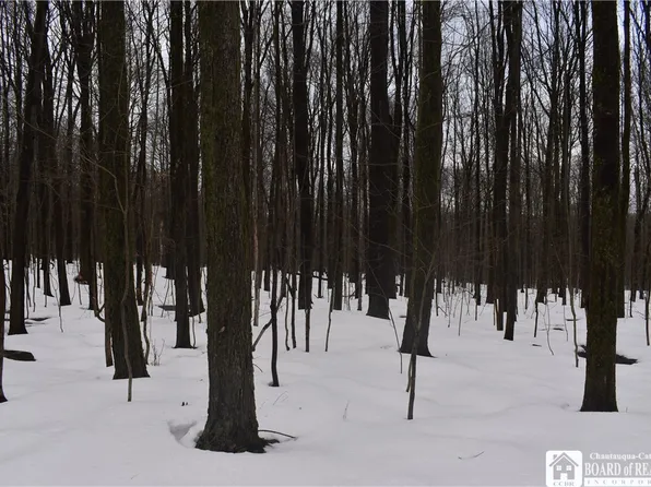 Harris Hill Rd, Gerry, NY 14740