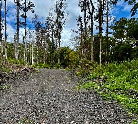 3rd image of Nanawale Farms Rd Lot 71