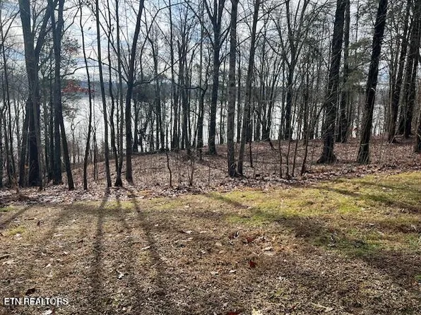 E Shore Dr Lot 117, Rockwood, TN 37854