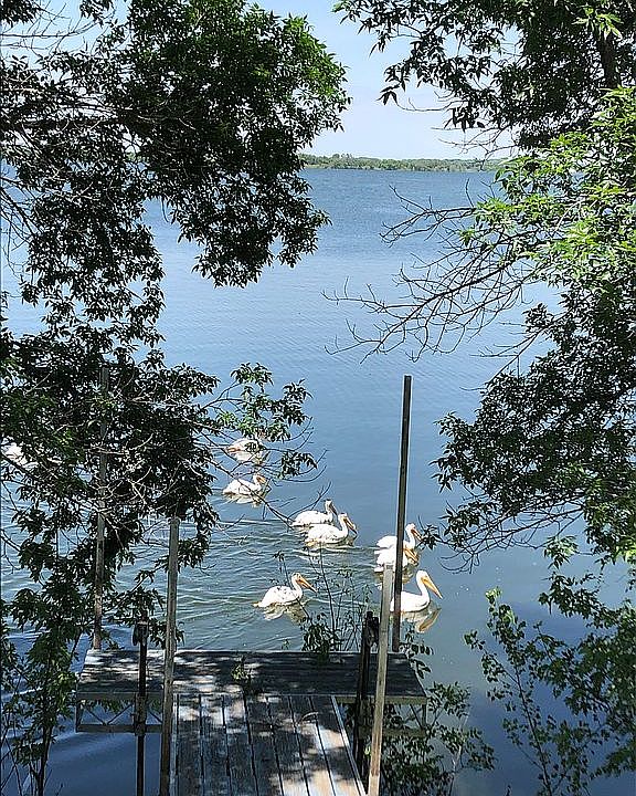 Lake visitors 
