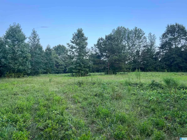 County Road 516 #1, Woodland, AL 36280