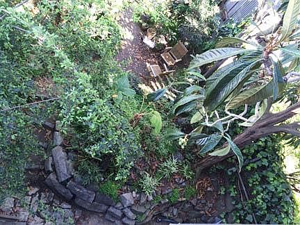 3rd image of 1027 Treat Ave #1027