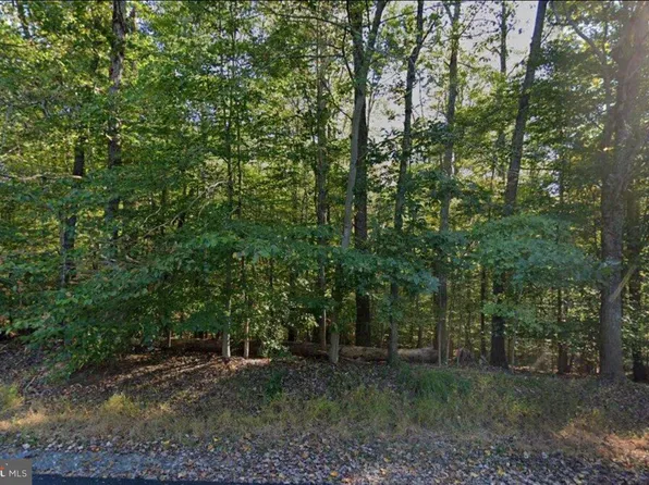 250 Springvale Rd, Great Falls, VA 22066