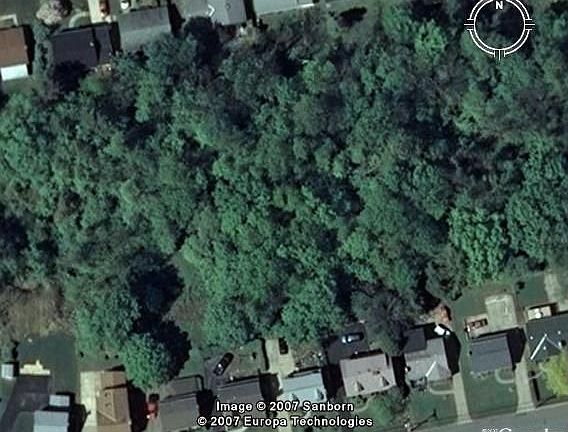 Wooded back yard!