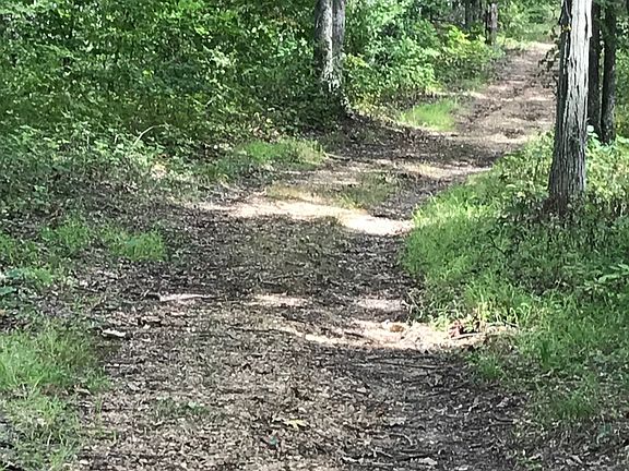 Upper Ridge Line Road