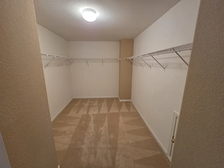 4206 Virginia Pine Ct — Photo 23