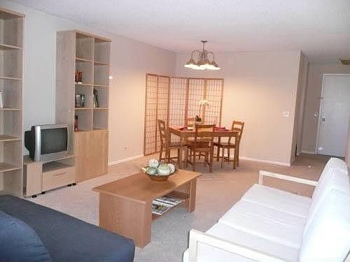 1st image of 801 S Plymouth Ct APT 514