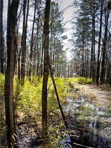 1416 Trinkle St, Chesapeake, VA, 23322