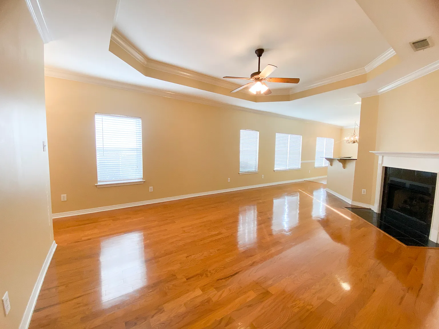 Available Mid October! 3 Bed/2 Bath In Historic Malbis — Photo 3