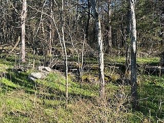 5th image of 14907 Cainsville Rd