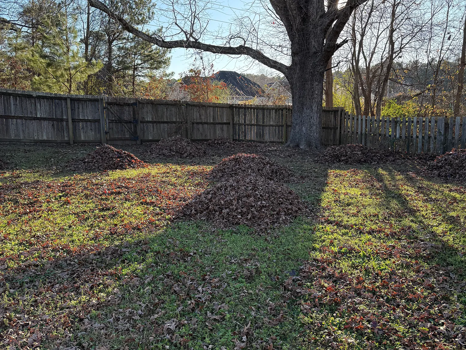 Hogart St, Raeford — Photo 3