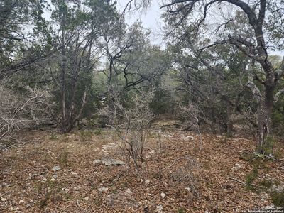1132 DEER VALLEY PASS LOT 10, Spring Branch, TX, 78070