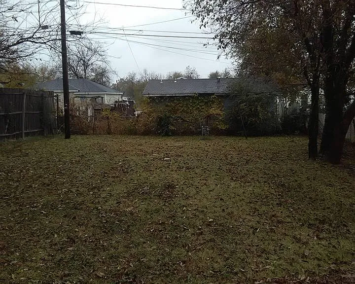 Backyard