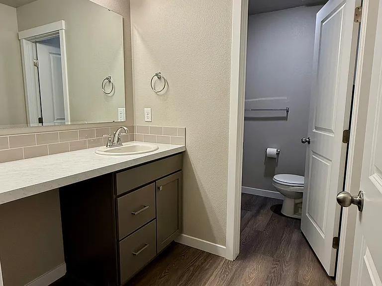 Secondary bathroom with single vanity and toilet/shower room with a door for privacy.