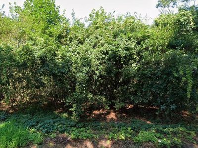 186 Huguenot Drive, Mastic Beach, NY, 11951