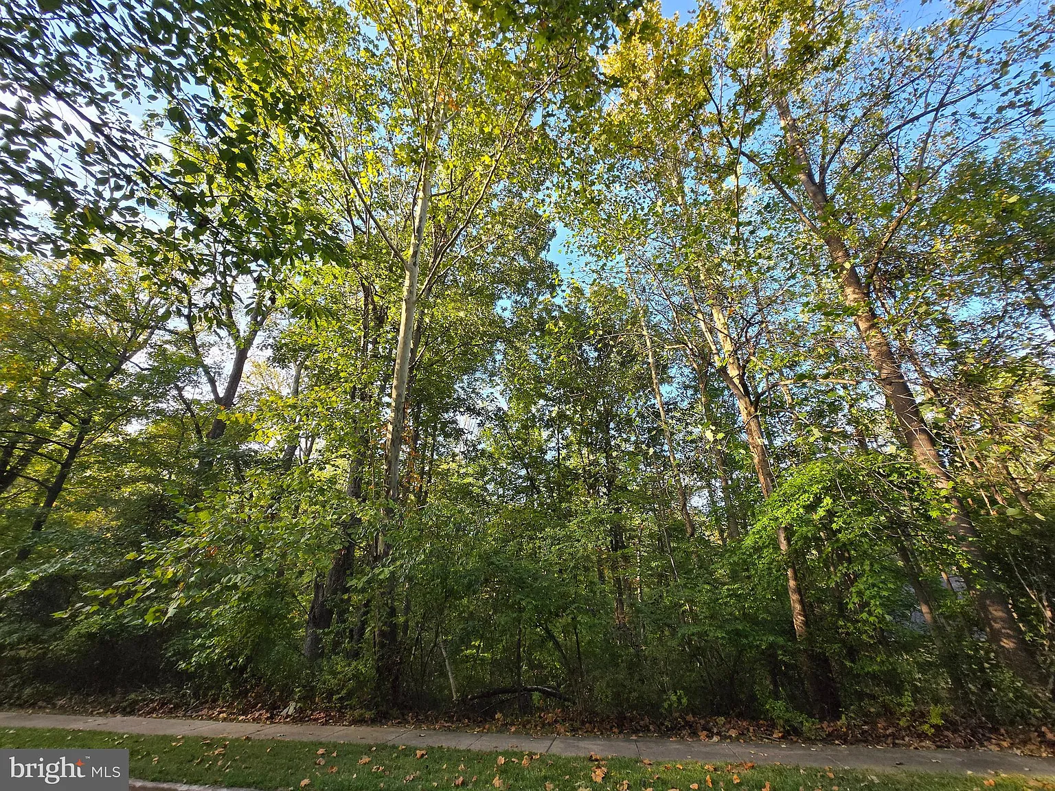 36 Ross Stevenson Cir photo 1
