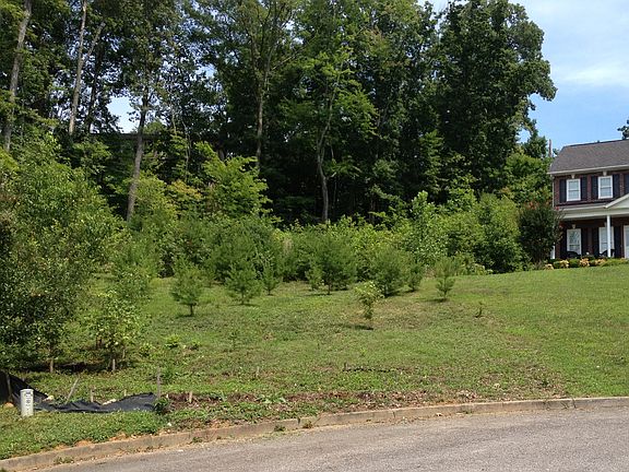 3rd image of 2106 Elm Grove Ln