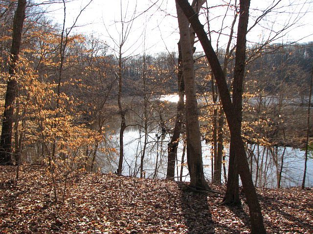 1st image of 5200 Lakefront Dr