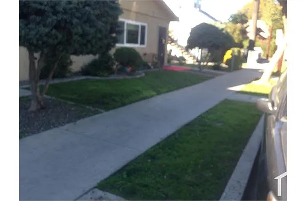 Building Photo - 449 Bonito Ave #3