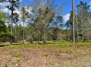 235 Salt Creek Way E, Brunswick, GA 31523