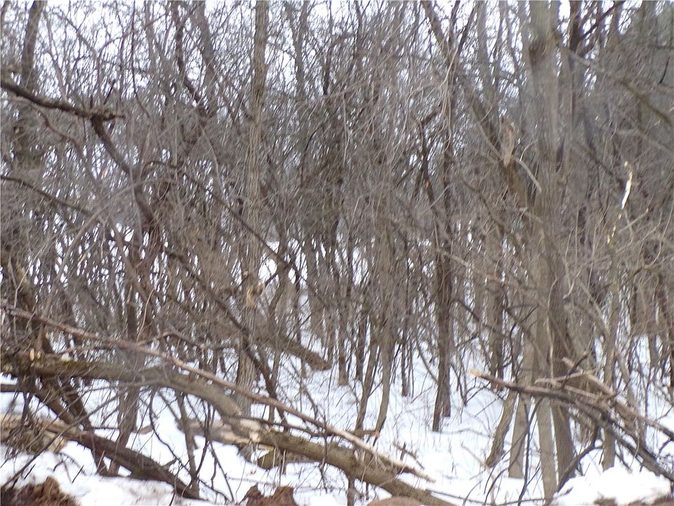 2nd image of 1680 Red Pine Court