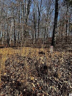 2nd image of 36 Canton Ln #2
