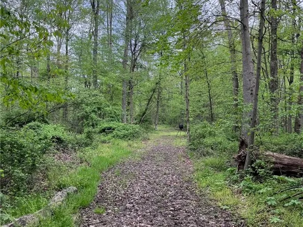 Reef Rd NE, Kensington, OH 44427