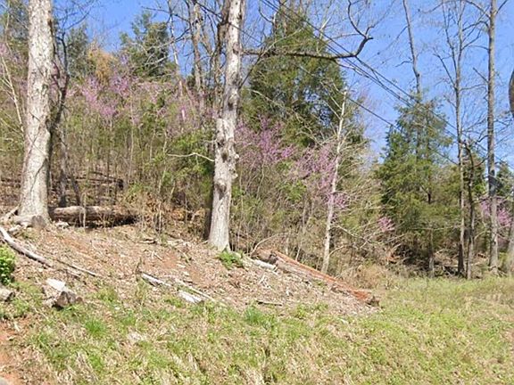 4th image of 0 Dunlap Rd