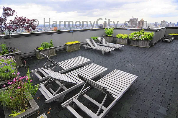 Rented by Harmonycity Corp. | media 25