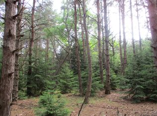 Milarch Rd, Bear Lake, MI 49614