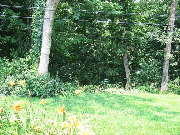 Wildlife Preserve