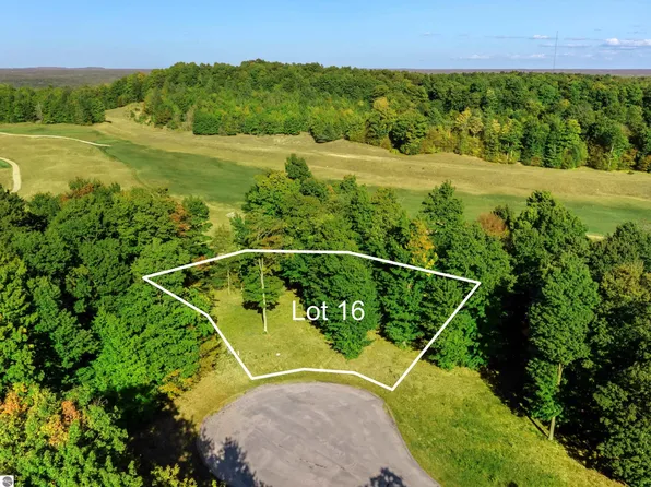 16 Heather Ridge Trl, Beulah, MI 49617