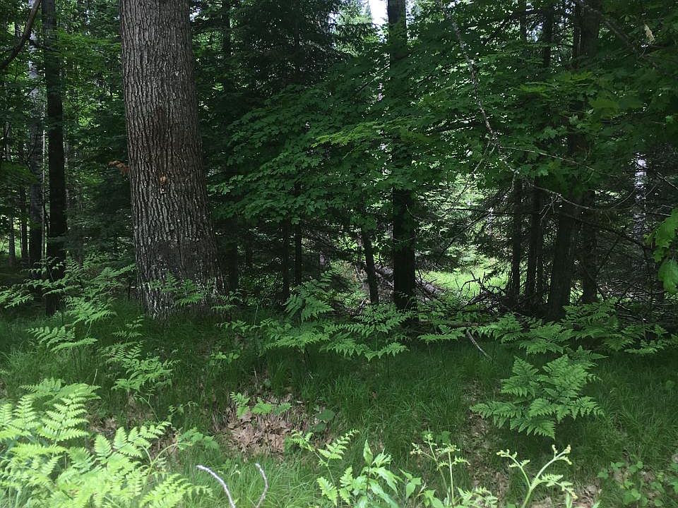 2nd image of On Perch Lake Rd