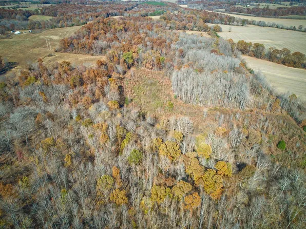 0 Elkins Ln, Vienna, IL 62995