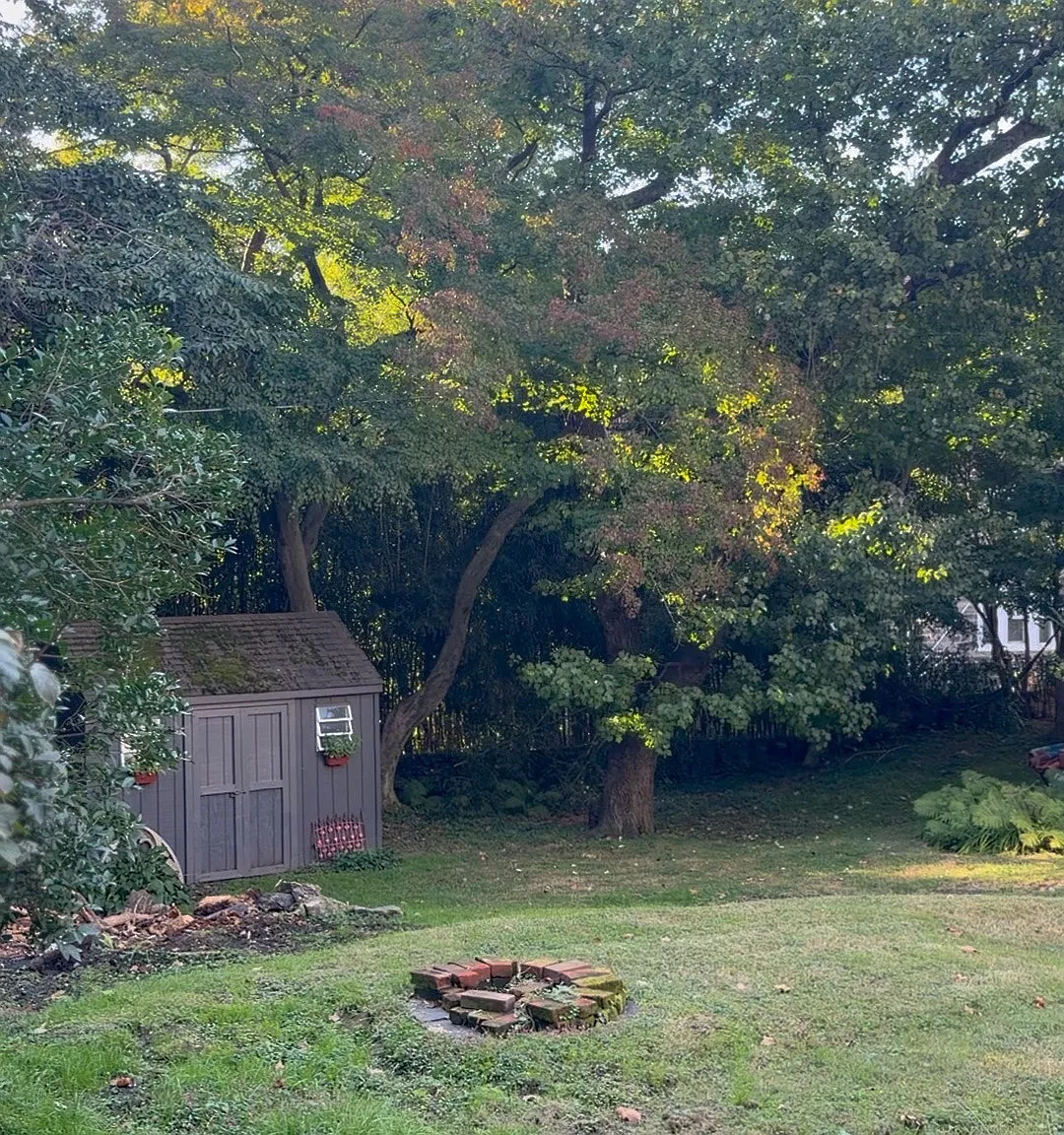 1 bed, 600 sqft, $2,200 — Photo 2
