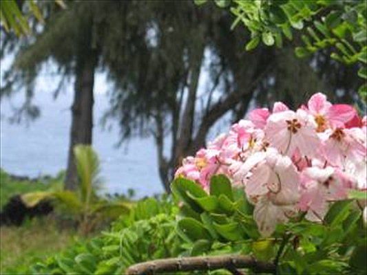 2nd image of 12-7106 Kalapana Kapoho Beach Rd Lot 69