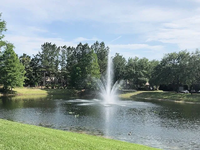 Peace Pond Views!