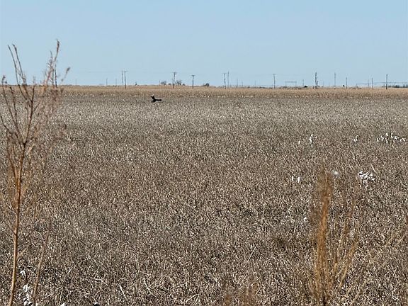 5th image of County Road 168