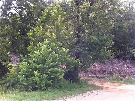 5th image of 2235 Highway 63