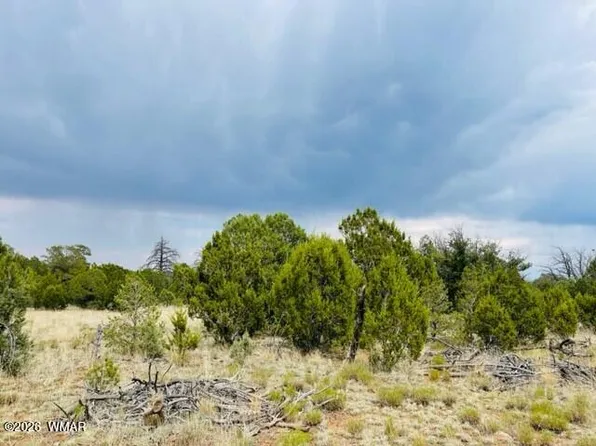 8418 Haven Crest Dr, Happy Jack, AZ 86024